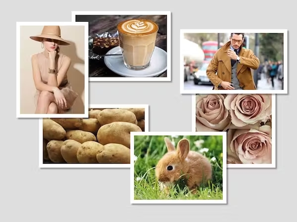red-moodboard